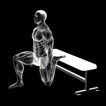 Hip Flexor Stretch Rear-Foot Elevated demonstration