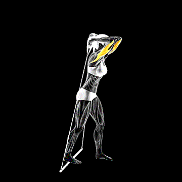 Band Standing Triceps Extension demonstration