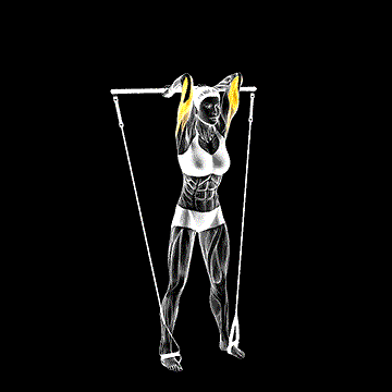 Band Overhead Tricep Extension demonstration