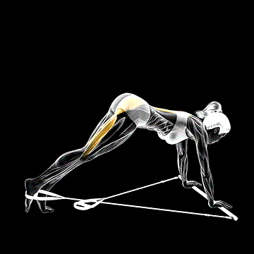 Band One-Leg Reverse Hyperextension demonstration