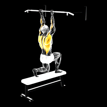 Assisted Chin-up (Low Bar Position) demonstration