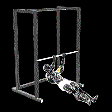 Inverted Row demonstration