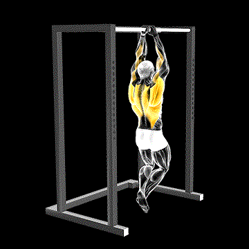 Commando Pull-up demonstration