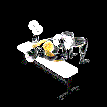 Dumbbell Bridge Bench Press demonstration