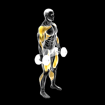 Dumbbell Hang Power Clean demonstration