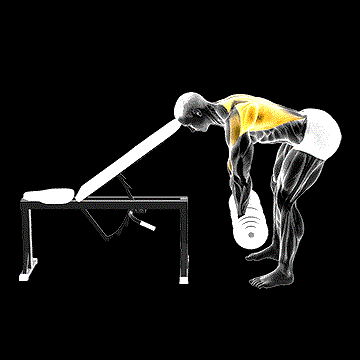 Dumbbell Head-Supported Row demonstration