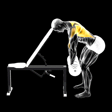 Dumbbell Incline Head-Supported Row demonstration