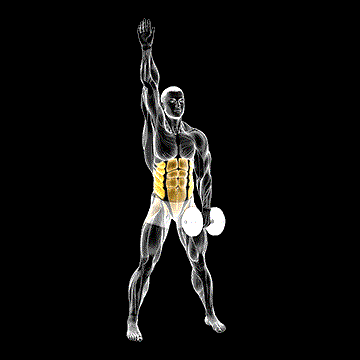 Dumbbell Low Windmill demonstration