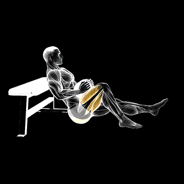 Dumbbell One-Leg Hip Thrust demonstration