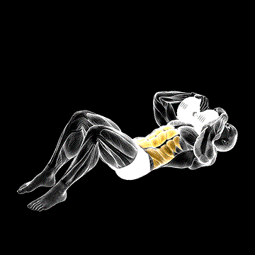 Dumbbell Sit-up demonstration