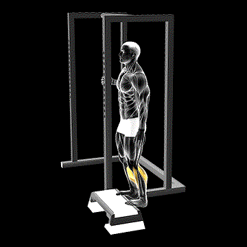 Elevated Standing Calf Raise demonstration