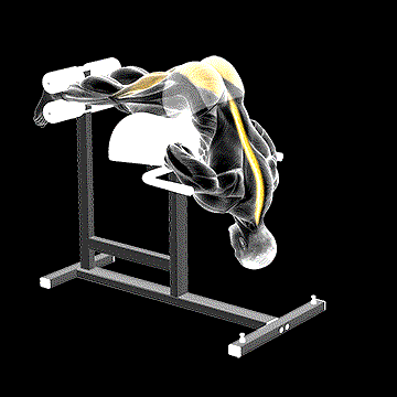Glute-Ham Developer Hip Extension demonstration