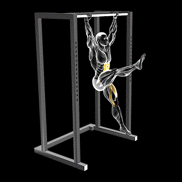 Hanging Flutter Kick demonstration