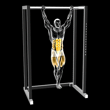 Hanging Knee Circle Raise demonstration
