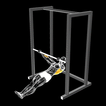Inverted Wide Row demonstration