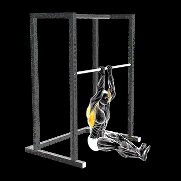 Narrow Seated Chin-up demonstration