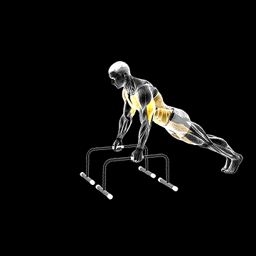 Push-up and Triceps Dip on Parallel Bars demonstration