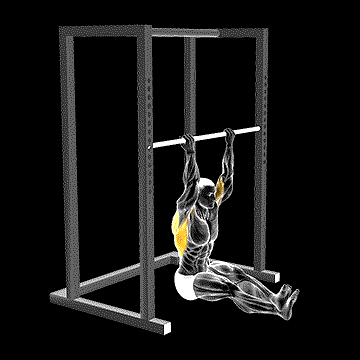 Seated Chin-up demonstration