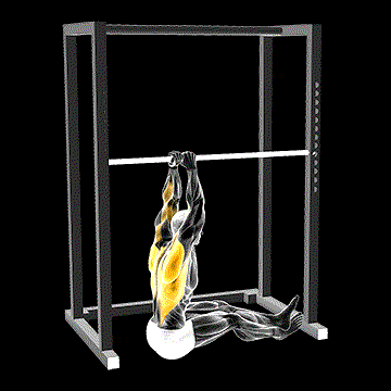 Seated Commando Pull-up demonstration