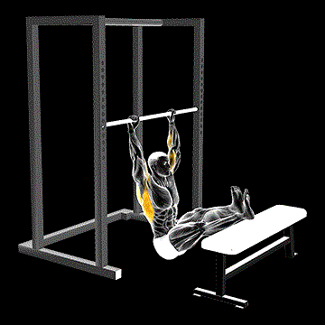 Seated Pull-up (Legs Elevated) demonstration