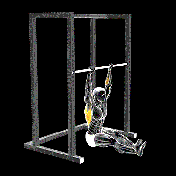 Seated Pull-up demonstration