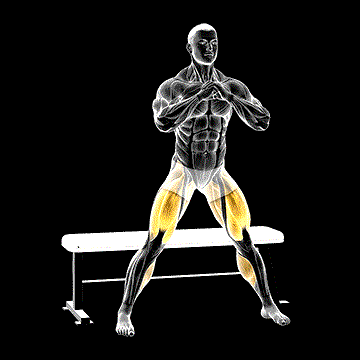 Side Bench Squat demonstration