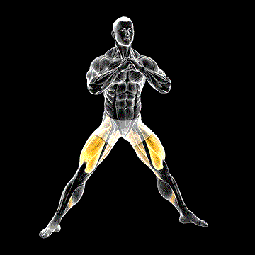 Side Split Squat demonstration