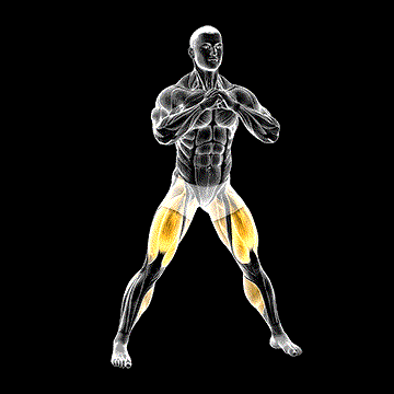 Side Squat demonstration