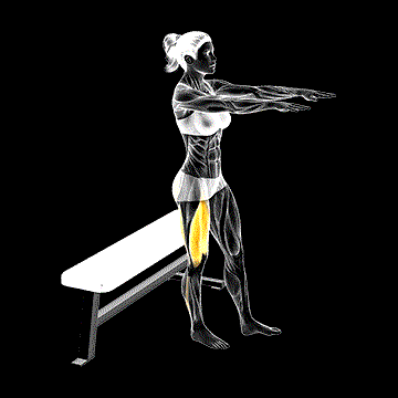 One-Leg Bench Squat demonstration