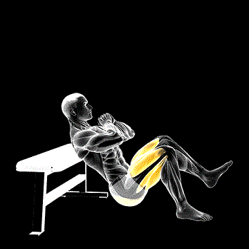 One-Leg Hip Thrust Jump demonstration