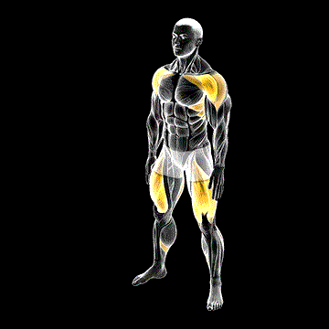Wide Air Squat demonstration