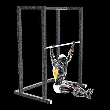 Wide Seated Pull-up demonstration