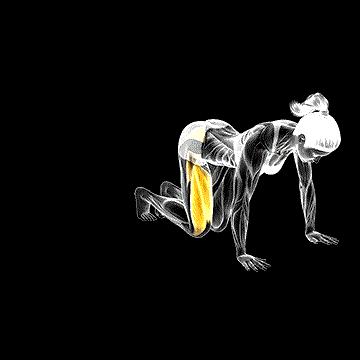 Kneeling Side Leg Kick demonstration