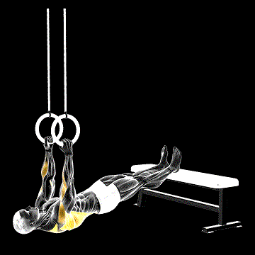 Ring Elevated Row demonstration