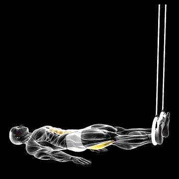 Ring Leg Curl demonstration