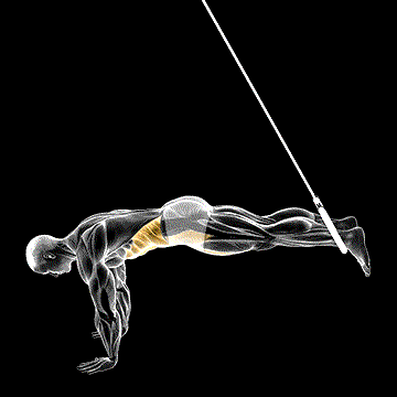 Ring Reverse Ab Rollout demonstration