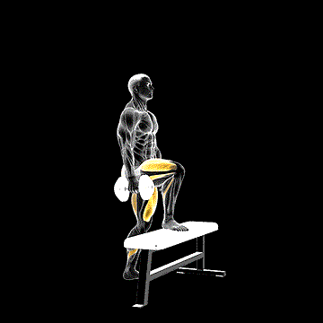 Dumbbell One-Leg Step-Up on Bench demonstration