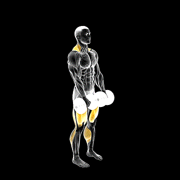 Dumbbell RDL to Jump Shrug demonstration