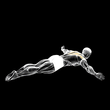 Lying Rear Lateral Raise demonstration