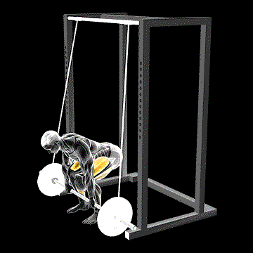 Barbell Band-Assisted Deadlift demonstration