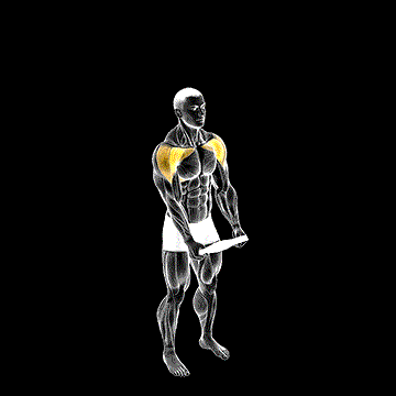 Weighted Plate Standing High Front Raise demonstration