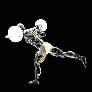 Barbell One-Leg Good Morning demonstration