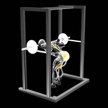 Barbell Pin Good Morning demonstration