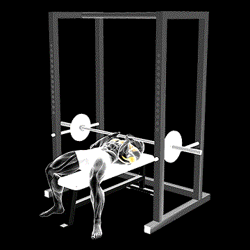 Barbell Pin Close-Grip Bench Press demonstration