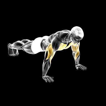 Lateral Walk Push-up demonstration