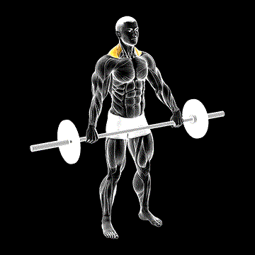 Barbell Standing Snatch-Grip Shrug demonstration