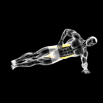 Side Plank Leg Lift demonstration