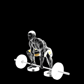 Barbell Sumo Deadlift From Deficit demonstration