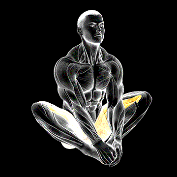 Butterfly Yoga Flaps demonstration
