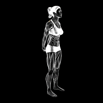 Bodyweight Standing Back Stretch demonstration